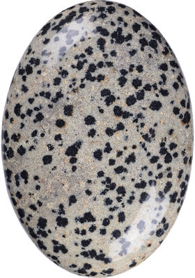 Piedra de palma de jaspe dálmata natural pulida de forma ovalada Piedra de energía de cristal dálmata para decoración de edificios